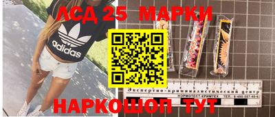 крисы Севастополь