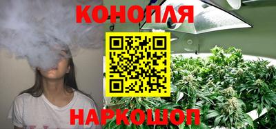 крисы Севастополь