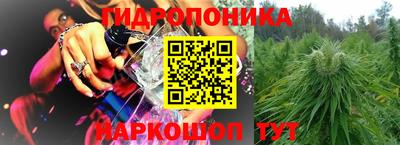 крисы Севастополь